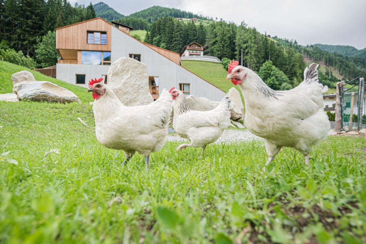 Koasa-Hof Ganzes Ferienhaus Und Sauna 5 Zimmer 240Mq Cadipietra Kültér fotó